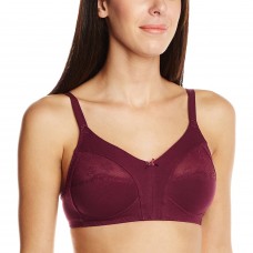 Deals, Discounts & Offers on Women Clothing - Amante Non-Padded Non-wired Full Cup Bra