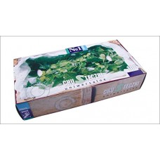 Deals, Discounts & Offers on Personal Care Appliances - [Pack of 2] Bella No1 Universal Paper Tissues - 100 Pieces (Mint)