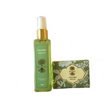 Deals, Discounts & Offers on Personal Care Appliances - Roots & Above Citrus Mint Glycerine Bathing Bar, 100g and Citrus Mint Shower Gel, 100ml