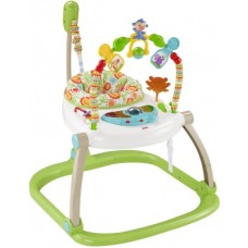 Deals, Discounts & Offers on Toys & Games - Fisher-Price Rainforest Friends Spacesaver Jumperoo CHN44(Multicolor)