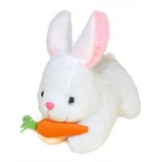 Deals, Discounts & Offers on Toys & Games - Pari Pari Soft Toys White Rabbit Toy - 11 inch(White)