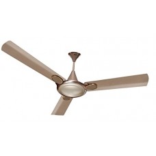 Deals, Discounts & Offers on Home & Kitchen - Inalsa Exotica 1200mm Ceiling Fan (Birkin Gold)