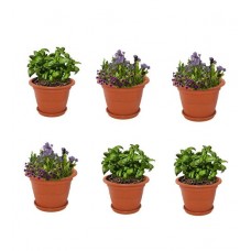 Deals, Discounts & Offers on Home Decor & Festive Needs - Brown Plastic 8 Inch Heavy Duty Planters Pots - Set of 6