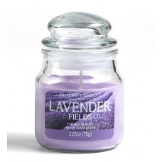 Deals, Discounts & Offers on  - Lavender Aroma Purple Jar Candle by Hosley