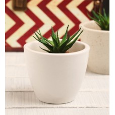 Deals, Discounts & Offers on Home Decor & Festive Needs - White Ceramic Table Top Planter by Decardo