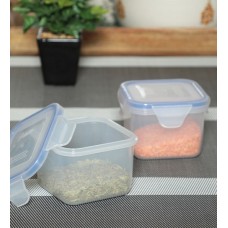 Deals, Discounts & Offers on Kitchen Containers - ROXX Set of 2 Square Containers, 250 ML (Each)