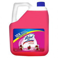 Deals, Discounts & Offers on Personal Care Appliances - Lizol Disinfectant Floor Cleaner, Floral - 5ltr