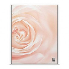 iBall Blushing Bloom Frame Speaker iBall Blushing Bloom Frame Speaker