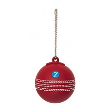 Deals, Discounts & Offers on  - Zoook Sports Cricket Ball 16GB USB Flash Drive