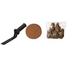 Deals, Discounts & Offers on  - Kraft Seeds Rajnigandha Flower Bulbs and Cocopeat and Khurpi Small 3 in 1 Garden Handy Combo (Pack of 3)