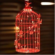 Home Delight 157 inch Red Rice Lights(Pack of 10) Home Delight 157 inch Red Rice Lights(Pack of 10)