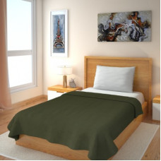 Deals, Discounts & Offers on  - IWS Solid Single Fleece Blanket(Polyester, Green)