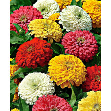 Deals and Offers on  - Starting ₹59 Upto 88% off discount sale Deals, Discounts & Offers on  - Starting ₹59 Upto 88% off discount sale