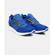 Deals, Discounts & Offers on Men - [Size 9] French ConnectionSneakers For Men(Blue)