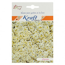 Deals, Discounts & Offers on Outdoor Living  - Alyssum Carpet of Snow Seeds (Pack of 2) by Kraft Seeds