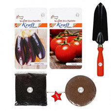 Deals, Discounts & Offers on Outdoor Living  - Tomato and Brinjal with Trowel Vegetable Seeds with Free 200 gm Organic Manure & Agropeat 100 gm By Kraft Seeds