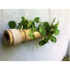 Deals, Discounts & Offers on  - Coirgarden Bamboo Hanging Planters with Adjustable Rope - Bamboo Stand - Bamboo Pot- Plant Container Set(Wood)