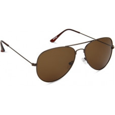 Deals, Discounts & Offers on Sunglasses & Eyewear Accessories - [Coming Soon] NEWPORTPolarized  Sunglasses (Free Size)(For Men & Women, Brown)