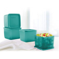 Deals, Discounts & Offers on Kitchen Containers - TUPPERWARE - 650 ml Plastic Utility Container(Pack of 4, Blue)