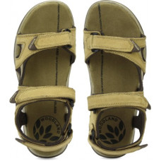 Deals, Discounts & Offers on Men - [Pre Book] WOODLANDMen Brown Casual Sandal