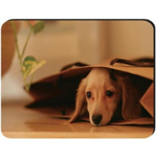 Deals, Discounts & Offers on Entertainment - Flipkart SmartBuy MP443 Mousepad(Multicolor)