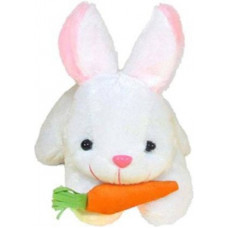 Deals, Discounts & Offers on Toys & Games - TEEDY WEDDY Soft Toys White Rabbit Toy - 11 inch (White) - 11 inch(White)