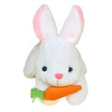 Deals, Discounts & Offers on Toys & Games - Playfull Rabbit with Carrot very Soft Push Toys For Kids Birthday Gift - 11 inch (White)