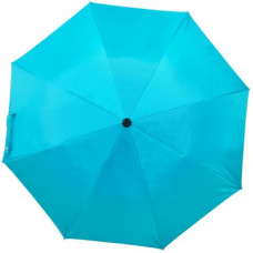 Deals, Discounts & Offers on  - Flipkart SmartBuy 2 Fold Auto Open Polyester Umbrella(Blue)