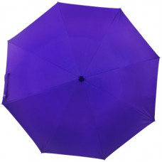 Deals, Discounts & Offers on  - Flipkart SmartBuy 2 fold Auto Open Polyester Umbrella(Violet)
