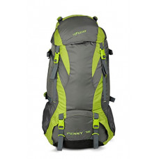Deals, Discounts & Offers on Backpacks - F Gear Penny 75 Ltrs Green Gry Rucksack (3210)