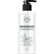 Deals, Discounts & Offers on  - The Beauty Co. Tea Tree & Rosemary Shampoo | Made in India