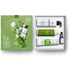 Deals, Discounts & Offers on  - The Beauty Co. Tea Tree Collection Combo (Tea Tree Essential Oil, Tea Tree & Neem Face Wash, Tea Tree Toner and Tea Tree & Rosemary Shampoo) | Made in India(4 Items in the set)