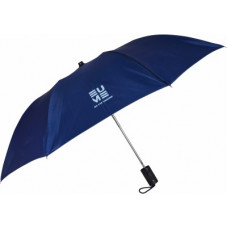 Deals, Discounts & Offers on  - EUME Leatrix 21 Inch (53.34cm) 2 Fold Auto-Open Umbrella(Blue, Blue)