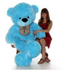 Deals, Discounts & Offers on  - [Pre Book] TRUELOVER 6 Feet Soft Toys Lovable/Huggable Teddy Bear For Girlfriend/Birthday Gift/Boy/Girl 6 feet Blue (180 cm) - 180 cm(Blue)