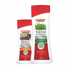 Deals, Discounts & Offers on Beauty Care - Baidyanath Shikakai and Bhringraj Nourishing Shampoo - 200 ml + Neem and Nutgrass Shampoo 450 ml - (200ml X 450ml Combo Pack)