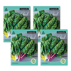 Deals, Discounts & Offers on Stationery - Classmate Notebook - Single Line, 120 Pages, 240 mm x 180 mm - Pack Of 4