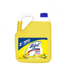 Deals, Discounts & Offers on  - Lizol Disinfectant Surface & Floor Cleaner Liquid, Citrus - 5L | Kills 99.9% Germs | India's #1 Floor Cleaner