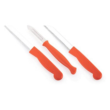 Deals, Discounts & Offers on  - Ritu Stainless Steel Kitchen Knife Set of 3, Multicolor, Small (J-284)