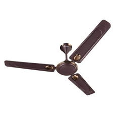 Deals, Discounts & Offers on  - Anchor by Panasonic TerraPrime 1200mm Ceiling Fan (FalsaRed Briken)