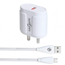 Deals, Discounts & Offers on Mobile Accessories - CALLMATE TCQC-007 3.1 Amp Universal Adapter Worldwide Travel Adapter with Built in 1 USB Charger Ports with Micro USB Cable (White)