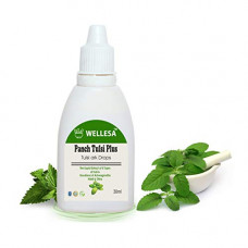 Deals, Discounts & Offers on  - Wellesa Panch Tulsi Drops Immunity Booster with Ashwagandha Giloy & Haldi (Pack of 1)