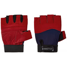 Deals, Discounts & Offers on Accessories - Amazon Brand - Symactive Gym Training Gloves, Set of 2, Medium, Vision, Red/Blue