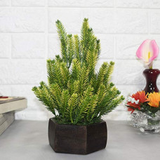 Deals, Discounts & Offers on  - Fourwalls Artificial Pine Leaves Plant with Wood Hexagon Pot (15 cm x 15 cm x 28 cm, Yellow)