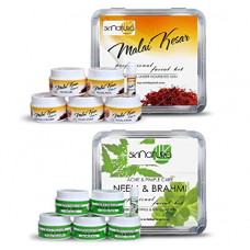 Deals, Discounts & Offers on Beauty Care - Skinatura Malai Kesar + Neem & Brahmi Professional Facial Kit (Pack of 2-310gm each)