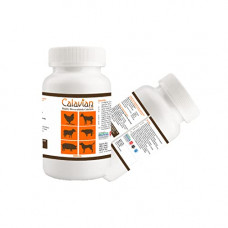 Deals, Discounts & Offers on Food and Health - ANFOTAL NUTRITIONS Calavian Forte Highly Bio Available Calcium & Vitamin D3, B12 & Iron