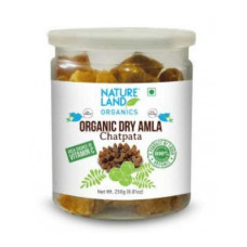 Deals, Discounts & Offers on  - Natureland Organic Amla Candy Spicy/ Chatpata