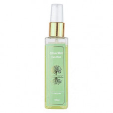 Deals, Discounts & Offers on Beauty Care - Roots & Above Natural Citrus Mint Face Wash, 100ml