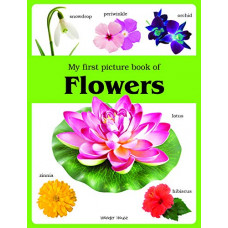 Deals, Discounts & Offers on Books & Media - My First Picture Book of Flowers (Picture Books For Kids)