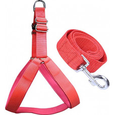 Deals, Discounts & Offers on  - VIP COLLECTION Nylon Dog Collar with Soft Padded Lightweight Comfortable & Adjustable Dog Collars Leash Buckle Dog Harness Set Combo Color- Red Extra Small