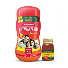 Deals, Discounts & Offers on  - Baidyanath Chyawanprash Special - 500g with 20g Madhu Free